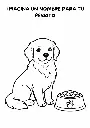 actividad-nombra-perrito.webp