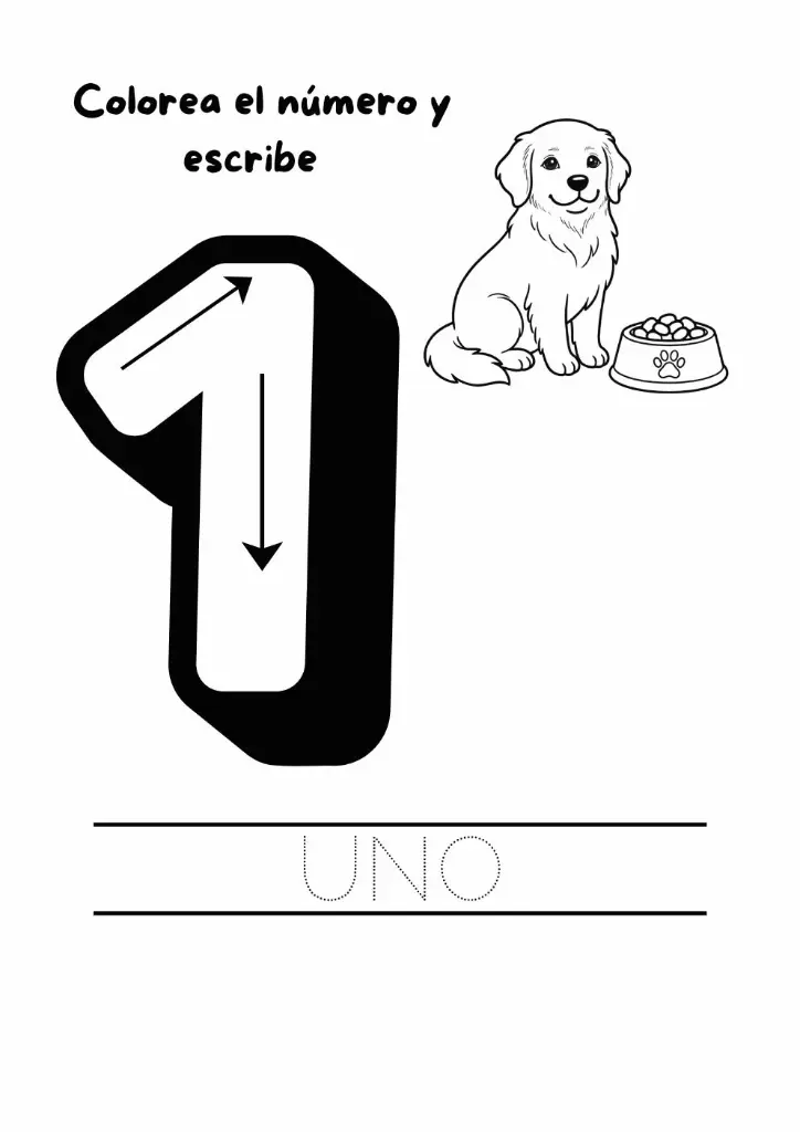 actividad-numero-1.webp