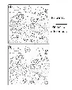 encuentra-diferencias.webp